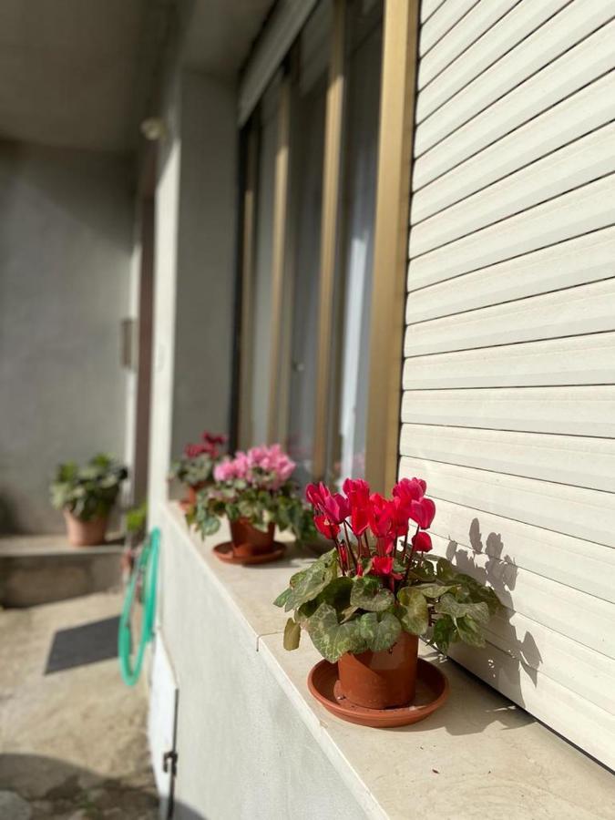 Domuspes Apartment Sedilo Exterior photo